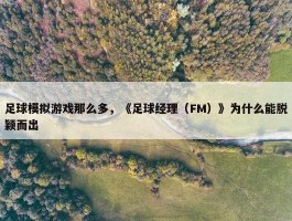 足球模拟游戏那么多，《足球经理（FM）》为什么能脱颖而出