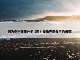 因为宠物死而分手（因为宠物死而分手的明星）