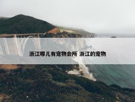 浙江哪儿有宠物会所 浙江的宠物