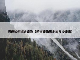 问道如何绑定宠物（问道宠物绑定加多少亲密）