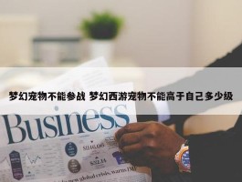 梦幻宠物不能参战 梦幻西游宠物不能高于自己多少级