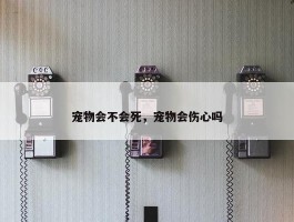 宠物会不会死，宠物会伤心吗