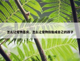 怎么让宠物喜庆，怎么让宠物投胎成自己的孩子