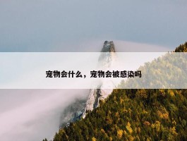 宠物会什么，宠物会被感染吗