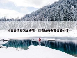 抖音音浪榜怎么查看（抖音如何查看音浪排行）