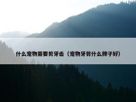 什么宠物需要剪牙齿（宠物牙剪什么牌子好）