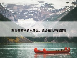 东北养宠物的人多么，适合东北养的宠物