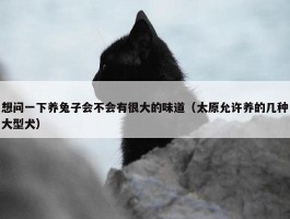 想问一下养兔子会不会有很大的味道（太原允许养的几种大型犬）