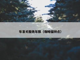 导盲犬服务年限（咖啡猫特点）