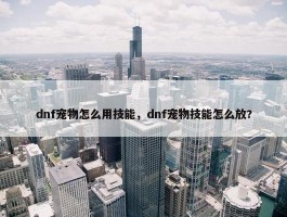 dnf宠物怎么用技能，dnf宠物技能怎么放?