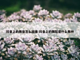 抖音上的舞是怎么回事 抖音上的舞蹈是什么舞种