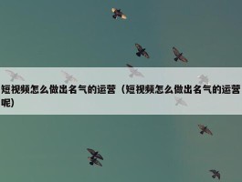 短视频怎么做出名气的运营（短视频怎么做出名气的运营呢）