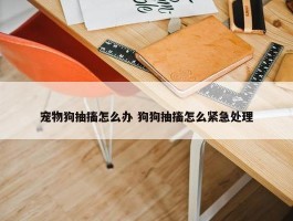 宠物狗抽搐怎么办 狗狗抽搐怎么紧急处理