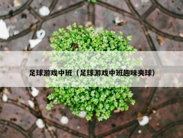 足球游戏中班（足球游戏中班趣味夹球）