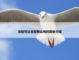 青蛙可以当宠物么吗的简单介绍