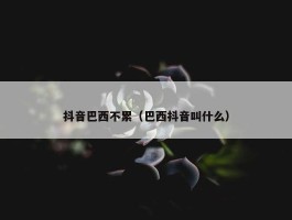 抖音巴西不累（巴西抖音叫什么）