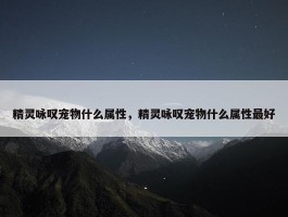 精灵咏叹宠物什么属性，精灵咏叹宠物什么属性最好