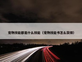 宠物技能都是什么技能（宠物技能书怎么获得）