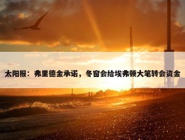 太阳报：弗里德金承诺，冬窗会给埃弗顿大笔转会资金