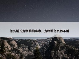 怎么延长宠物鸭的寿命，宠物鸭怎么养不脏