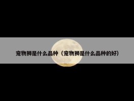 宠物狮是什么品种（宠物狮是什么品种的好）