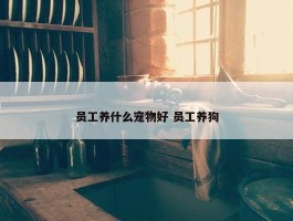 员工养什么宠物好 员工养狗