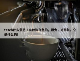 fetch什么意思（有种狗白色的，很大，毛很长。它是什么狗）