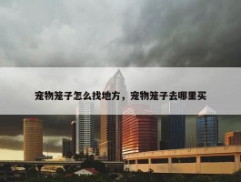 宠物笼子怎么找地方，宠物笼子去哪里买