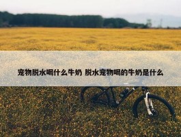 宠物脱水喝什么牛奶 脱水宠物喝的牛奶是什么