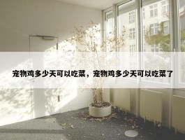 宠物鸡多少天可以吃菜，宠物鸡多少天可以吃菜了