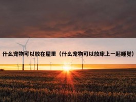 什么宠物可以放在屋里（什么宠物可以放床上一起睡觉）