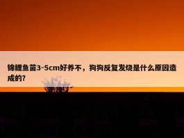 锦鲤鱼苗3-5cm好养不，狗狗反复发烧是什么原因造成的？