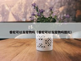 香蛇可以当宠物吗（香蛇可以当宠物吗图片）