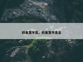 抖音发不出，抖音发不出去