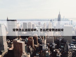 宠物怎么送回家啊，怎么把宠物送回家