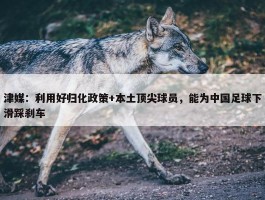 津媒：利用好归化政策+本土顶尖球员，能为中国足球下滑踩刹车