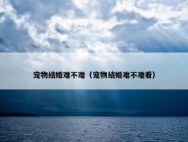 宠物结婚难不难（宠物结婚难不难看）