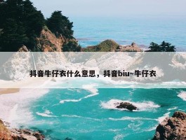 抖音牛仔衣什么意思，抖音biu～牛仔衣