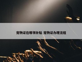 宠物证在哪领补贴 宠物证办理流程