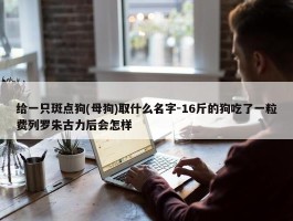 给一只斑点狗(母狗)取什么名字-16斤的狗吃了一粒费列罗朱古力后会怎样