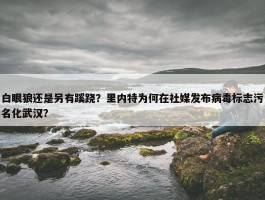 白眼狼还是另有蹊跷？里内特为何在社媒发布病毒标志污名化武汉？