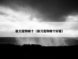 霸刀宠物哪个（霸刀宠物哪个好看）