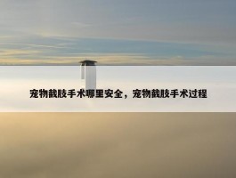 宠物截肢手术哪里安全，宠物截肢手术过程