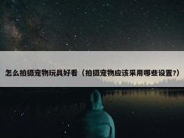 怎么拍摄宠物玩具好看（拍摄宠物应该采用哪些设置?）