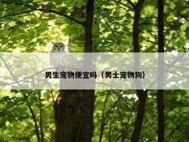 男生宠物便宜吗（男士宠物狗）