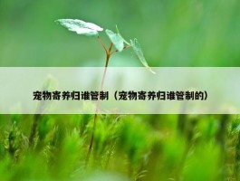 宠物寄养归谁管制（宠物寄养归谁管制的）