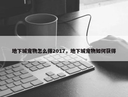 地下城宠物怎么得2017，地下城宠物如何获得