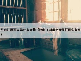 热血江湖可以带什么宠物（热血江湖哪个宠物打怪伤害高）