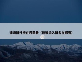 滴滴排行榜在哪里看（滴滴收入排名在哪看）