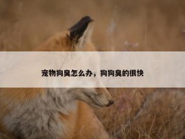 宠物狗臭怎么办，狗狗臭的很快